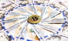 2023年B特派钱包下载APP官网版：全方位指南与使用