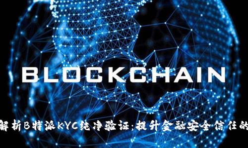 全面解析B特派KYC纯净验证：提升金融安全信任的关键