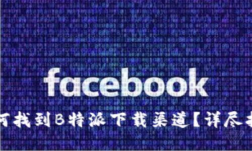 如何找到B特派下载渠道？详尽指南