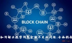 如何解决数字钱包金额不足的问题：全面指南