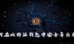 如何在比特派钱包中安全导出私钥