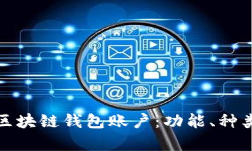 深入解析区块链钱包账户：功能、种类与安全性