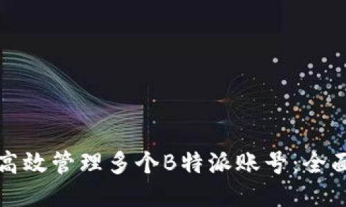 如何高效管理多个B特派账号：全面指南