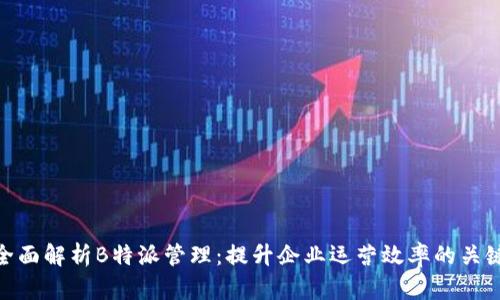 全面解析B特派管理：提升企业运营效率的关键