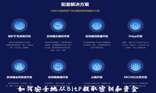 
如何安全地从BitP提取密钥和资金