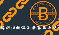 深入解析：B特派是否真正去中心化？