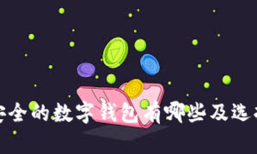 : 最安全的数字钱包有哪些及选择指南