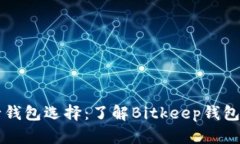 比特流行钱包选择：了解Bitkeep钱包的替代品