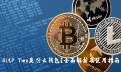 BitP Two是什么钱包？全面解析及使用指南