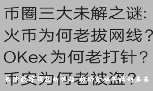 长沙数字钱包的崛起：推动金融科技的未来