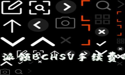 深入解析B特派领BCHSV手续费的影响与策略