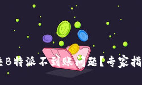 ## 如何解决B特派不到账问题？专家指导与常见问答