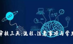 数字钱包审核三天：流程、注意事项与常见问题