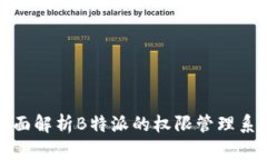 全面解析B特派的权限管理系统