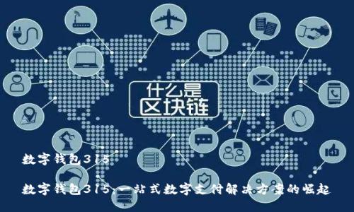 数字钱包315

数字钱包315：一站式数字支付解决方案的崛起