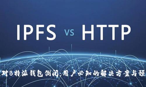 如何应对B特派钱包倒闭：用户必知的解决方案与预防措施