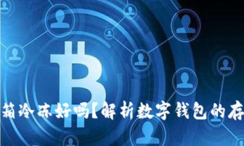 数字钱包放冰箱冷冻好吗？解析数字钱包的存储与安全策略