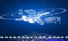 如何有效利用数字钱包进行借款，提升财务管理