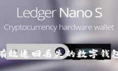 如何有效追回丢失的数字钱包资金