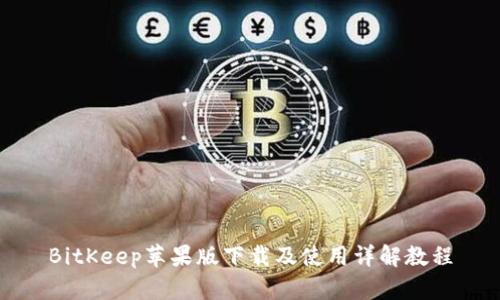 BitKeep苹果版下载及使用详解教程