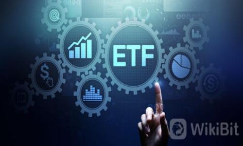 

数字资产收益钱包：投资新理念与安全保障