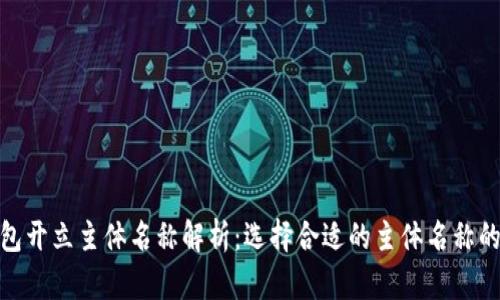 数字钱包开立主体名称解析：选择合适的主体名称的重要性