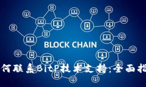 如何联系BitP技术支持：全面指南