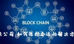  数字钱包拍照公司：如何选择合适的解决方案与