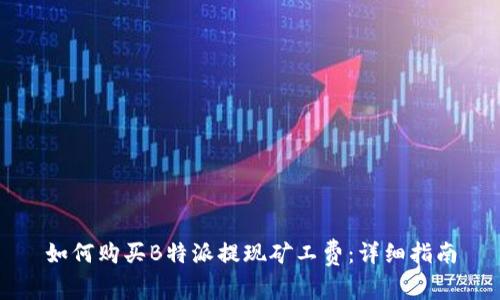 如何购买B特派提现矿工费：详细指南