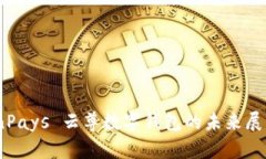 深度解析：WinPays 云尊数字钱包的未来展望与市场