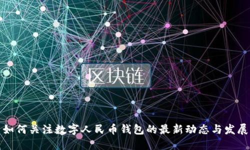 如何关注数字人民币钱包的最新动态与发展
