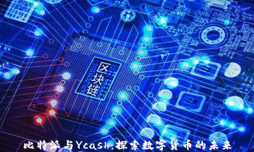 
比特派与Ycash：探索数字货币的未来
