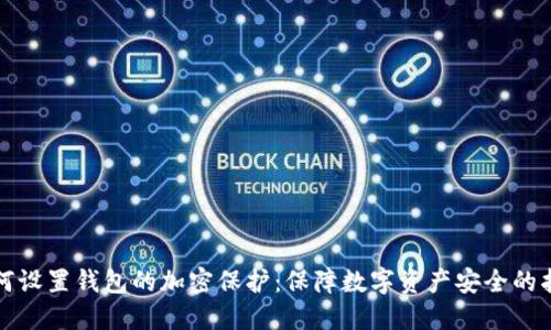 如何设置钱包的加密保护：保障数字资产安全的指南