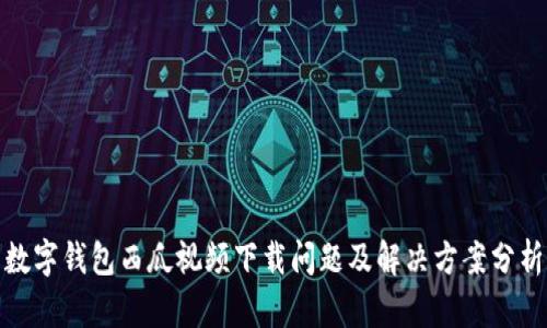 数字钱包西瓜视频下载问题及解决方案分析