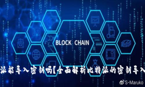 比特派能导入密钥吗？全面解析比特派的密钥导入功能