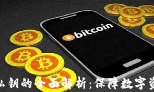 
数字资产钱包私钥的全面解析：保障数字资产安全的关键