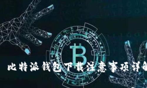 : 比特派钱包下载注意事项详解