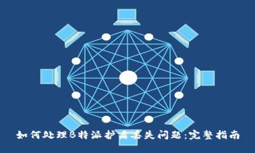 如何处理B特派护盾丢失问题：完整指南