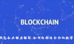 数字钱包各大额度解析：如何选择适合你的数字