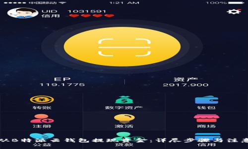 如何从B特派云钱包提现资金：详尽步骤与注意事项