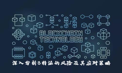 深入分析B特派的风险及其应对策略