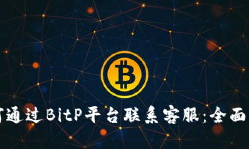 如何通过BitP平台联系客服：全面指南