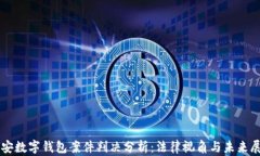 南安数字钱包案件判决分析：法律视角与未来展