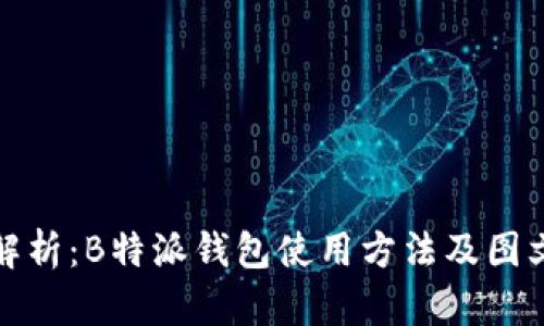 全面解析：B特派钱包使用方法及图文教程