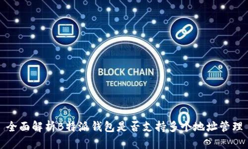 全面解析B特派钱包是否支持多个地址管理