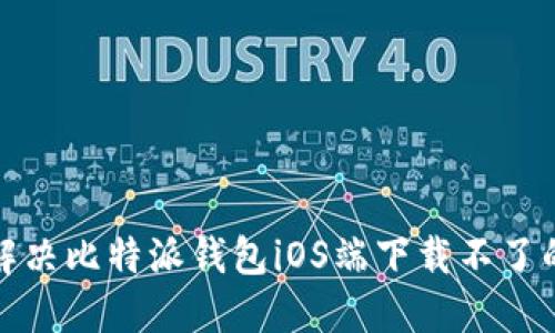 如何解决比特派钱包iOS端下载不了的问题