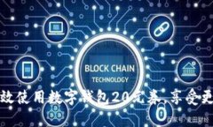 如何高效使用数字钱包20元券，享受更多优惠