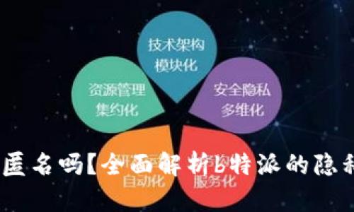 : b特派能匿名吗？全面解析b特派的隐私保护机制