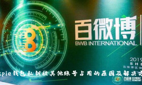 Bitpie钱包私钥被其他账号占用的原因及解决方案