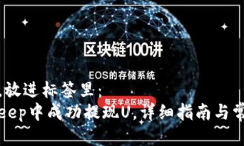 思考一个的，放进标签里：
如何在BitKeep中成功提现U，详细指南与常见问题解答